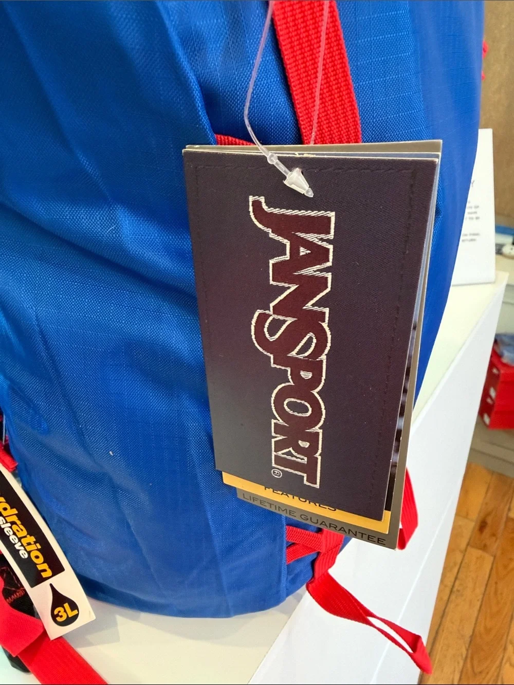 JanSport Sinder 20 Backpack - Blue Streak